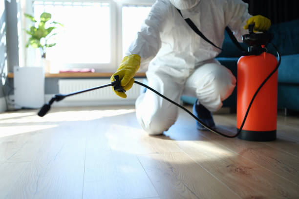 Reliable Biohazard Cleanup contractor in Lakewood, CA by Trauma Clean Pros